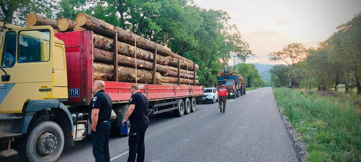 На Хустщині затримали 2 вантажівки з незаконно зрубаною деревиною
