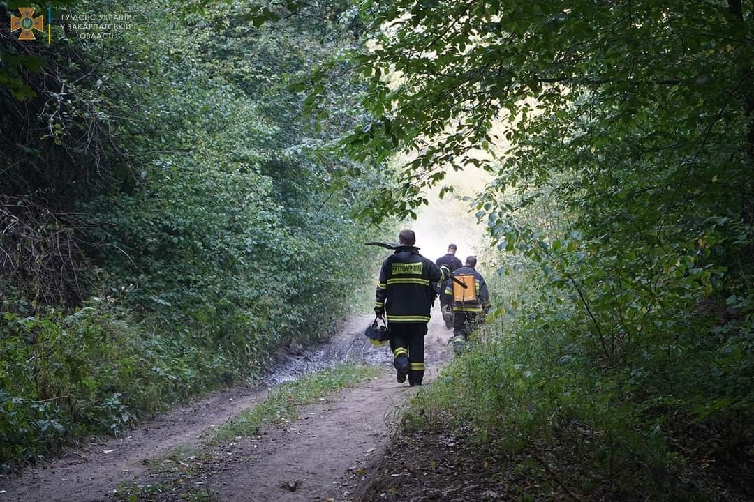 Масштабну лісову пожежу на Ужгорощині ліквідували