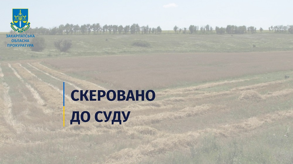 Жителька Тячівщини постане перед судом через шахрайське заволодіння землею вартістю майже 1,7 млн грн
