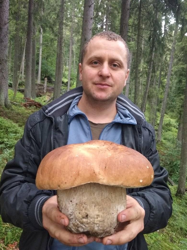 ФОТОФАКТ.  На Рахівщині працівник лісгоспу знайшов велетенький гриб