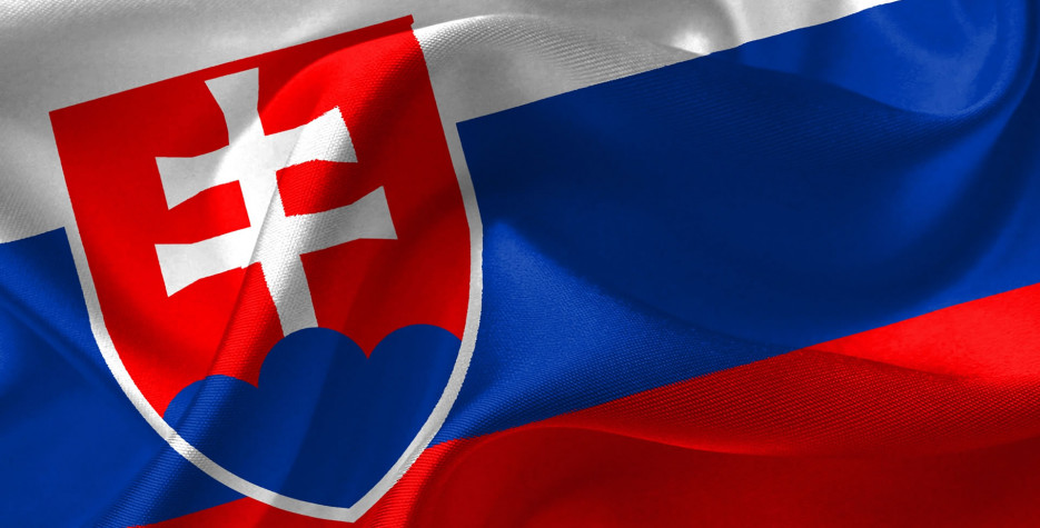 Для учнів ужгородських шкіл проведуть безкоштовний курс словацької мови