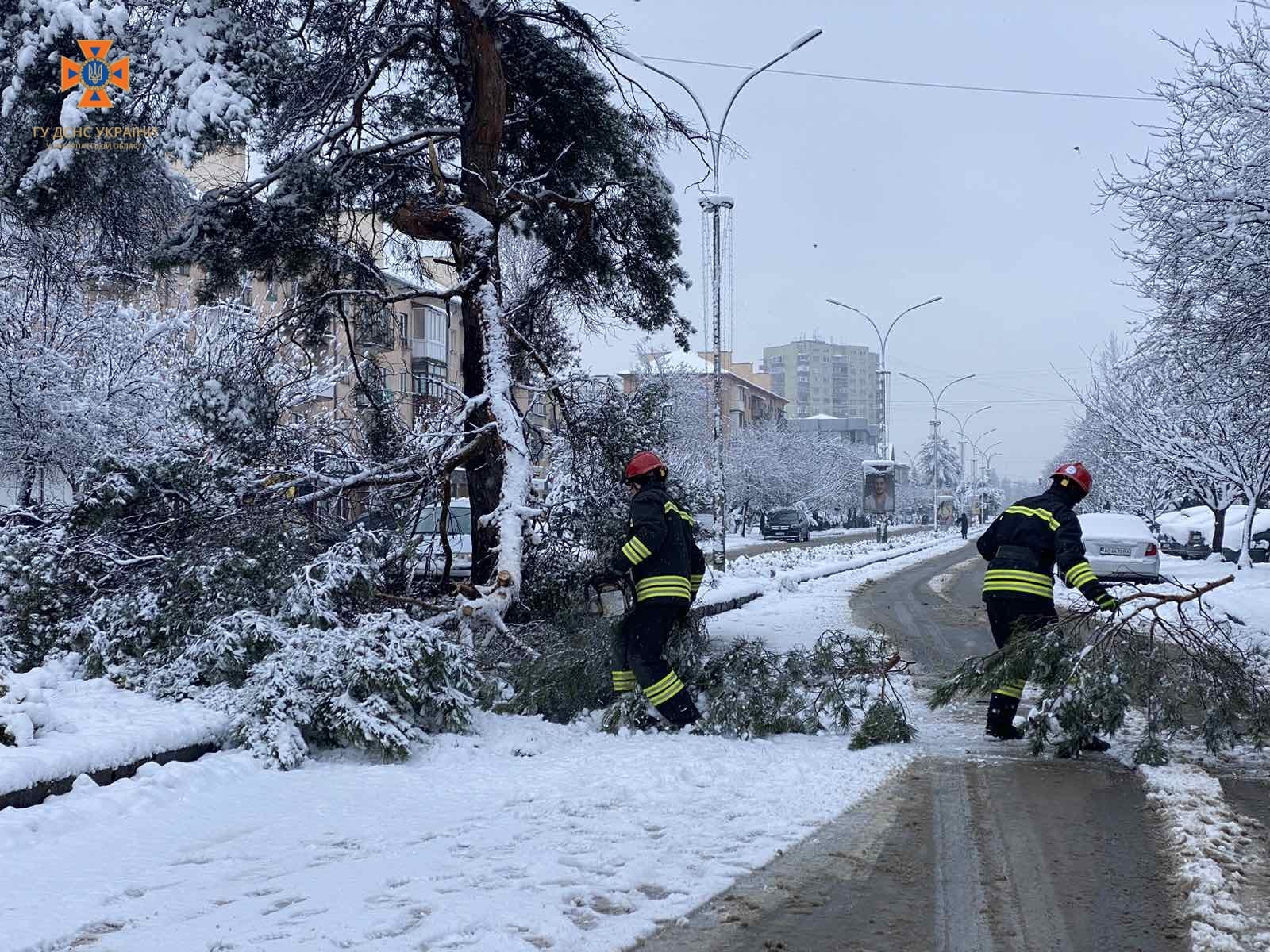 В Ужгороді через снігопад і вітер на дорогу впала гілка (ФОТО)
