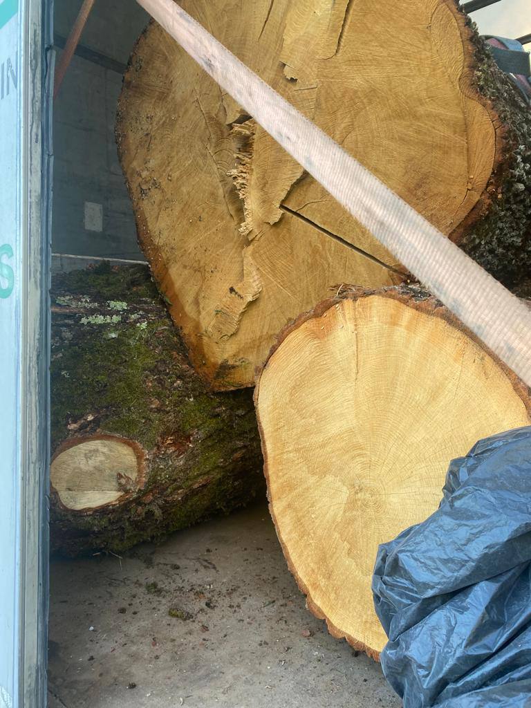 У Виноградові затримали вантажівку з нелегальною деревиною (ФОТО)