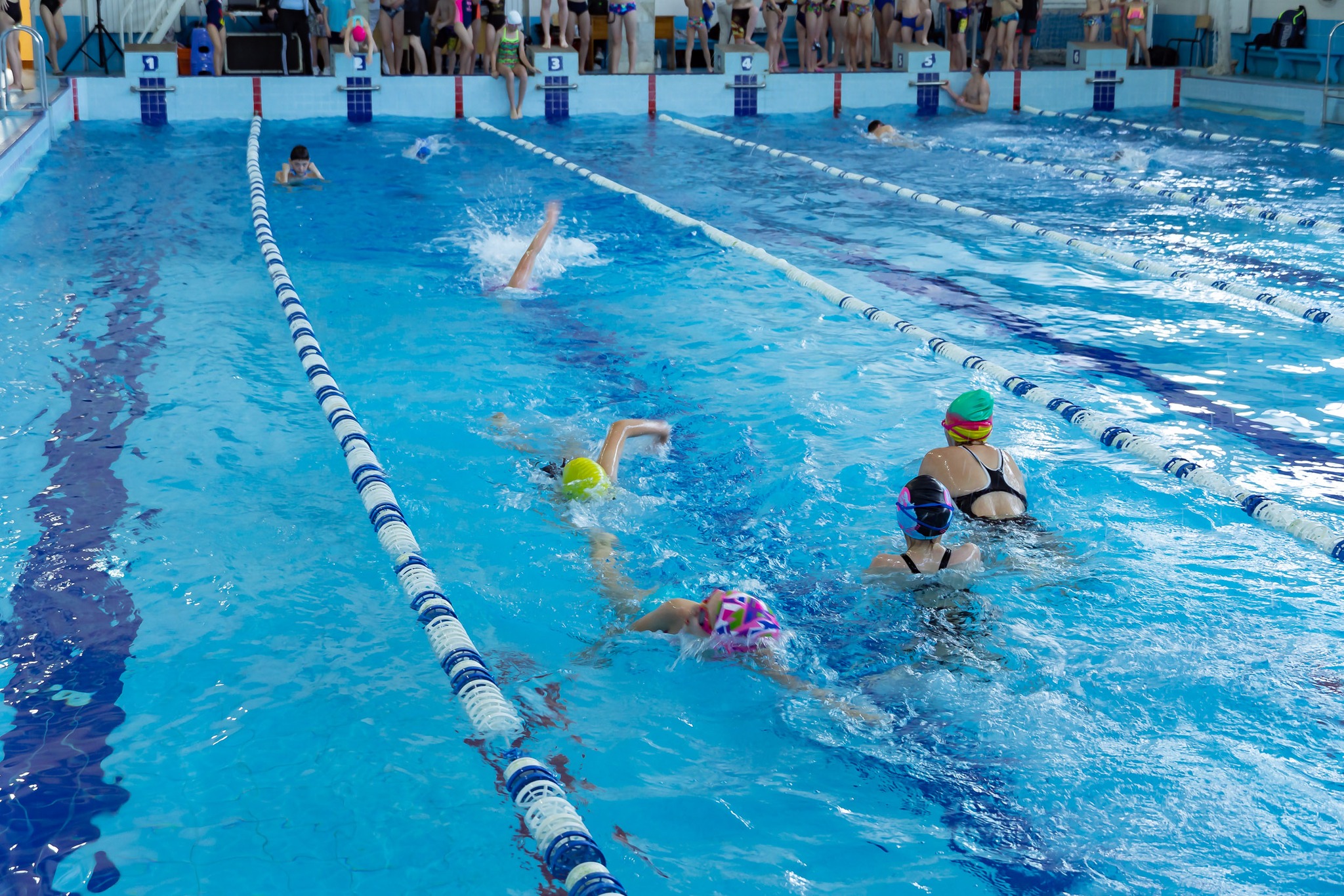 Відкрита першість міста з плавання проходить в Ужгороді (ФОТО)