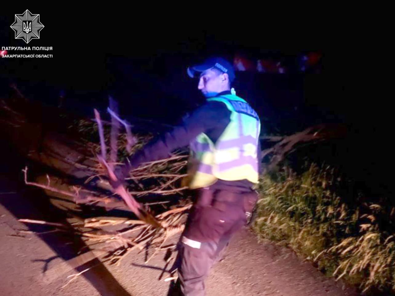 Уночі на об’їзній Ужгорода впало дерево, ускладнивши рух транспорту (ФОТО)