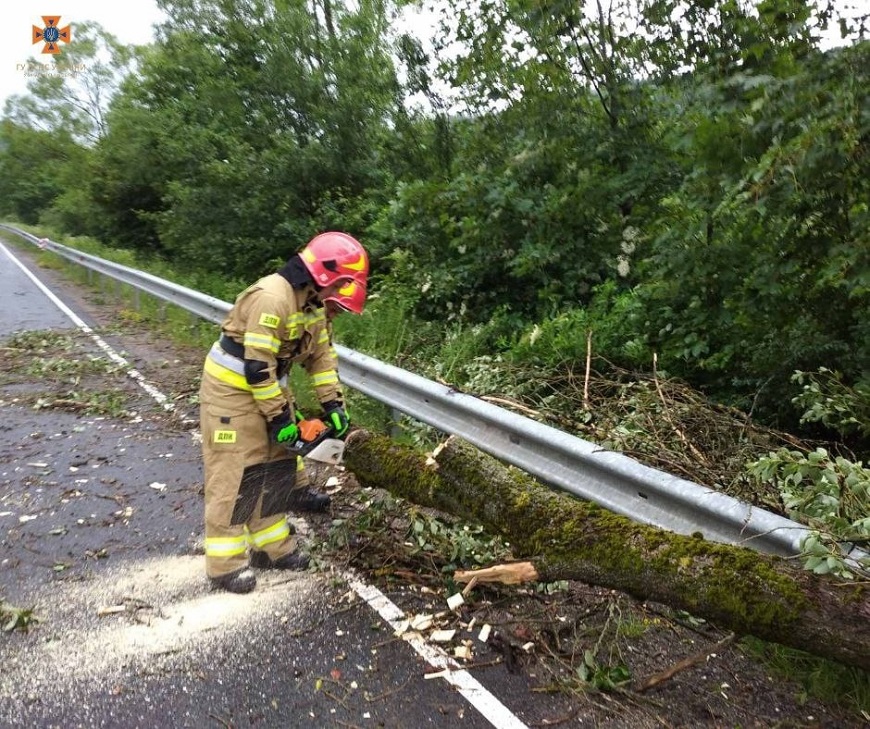 Негода на Закарпатті повалила дерева та знеструмила 19 населених пунктів (ФОТО)
