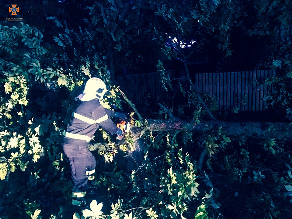 Негода на Закарпатті повалила дерева та знеструмила 30 населених пунктів (ФОТО)