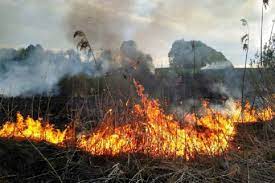 Спалюючи суху траву, на Тячівщині чоловік отруївся димом