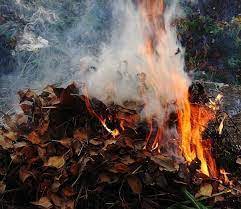 На Мукачівщині чоловік, спалюючи сміття, отримав опіки живота