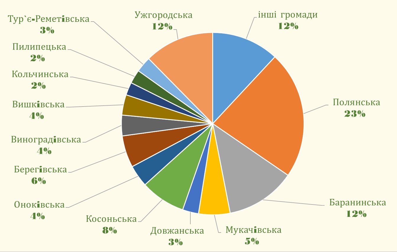 Торік до місцевих бюджетів Закарпаття сплачено туристичного збору на 13,8% більше, ніж у 2022-му