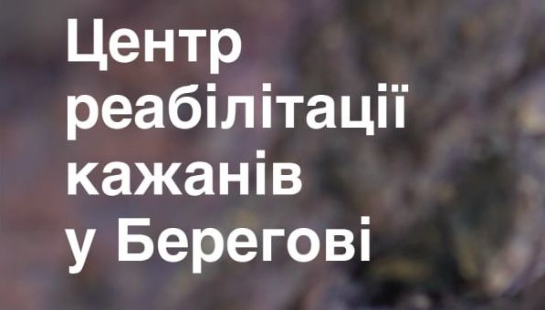 У Берегові у п'ятницю відкриють Центр реабілітації кажанів "АЛКАТОМ" (ФОТО)