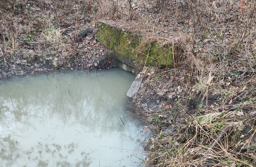 Невідомі забруднили нафтопродуктами канал і річку Обава на Мукачівщині (ФОТО)