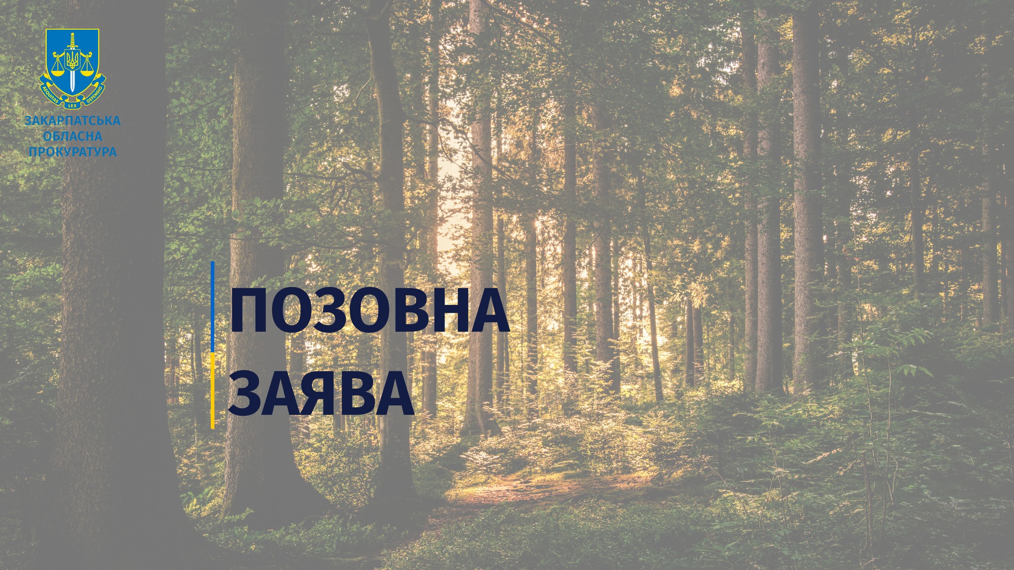 У Полянській громаді безпідставно віднесли до земель сільськогосподарського призначення 92 га земель лісового фонду. Справа в суді