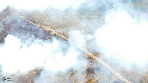 На Рахівщині рятувальники з двох областей ліквідовують 5-гектарну пожежу на території Лазещинського лісництва (ФОТО)