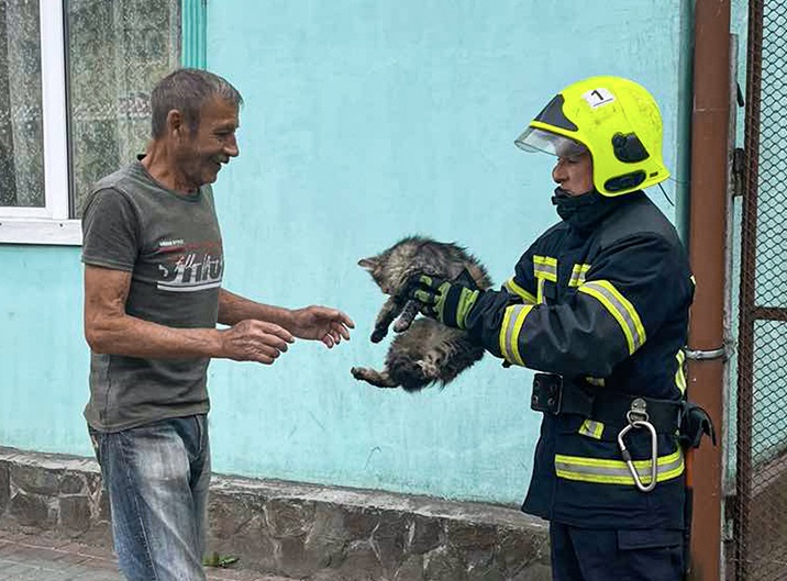 У суботу рятувальникам довелося знімати котів з дахів у Сваляві і Тячеві (ФОТО)