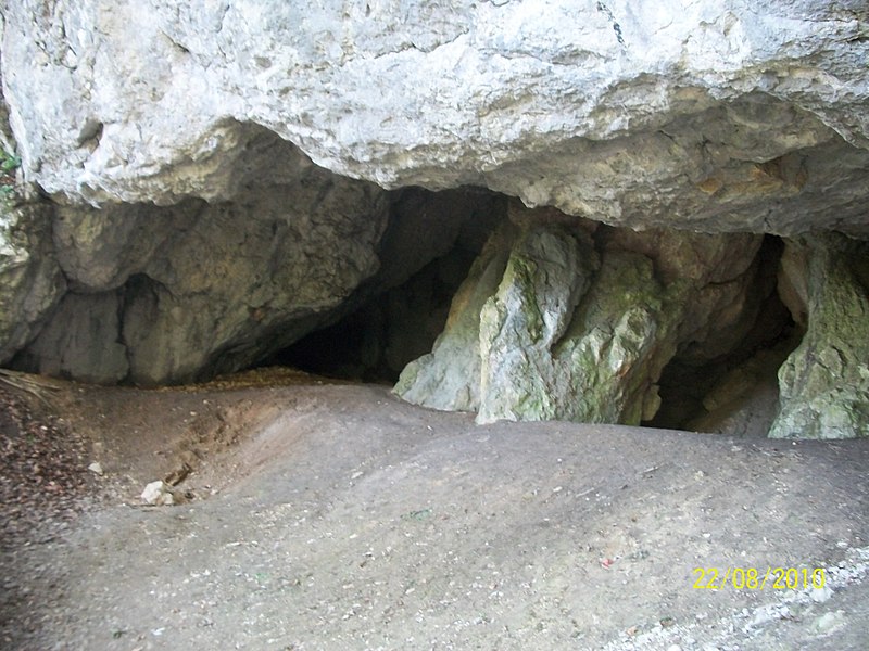 Першу на Закарпатті печерну стоянку людей кам'яного віку взяли під охорону