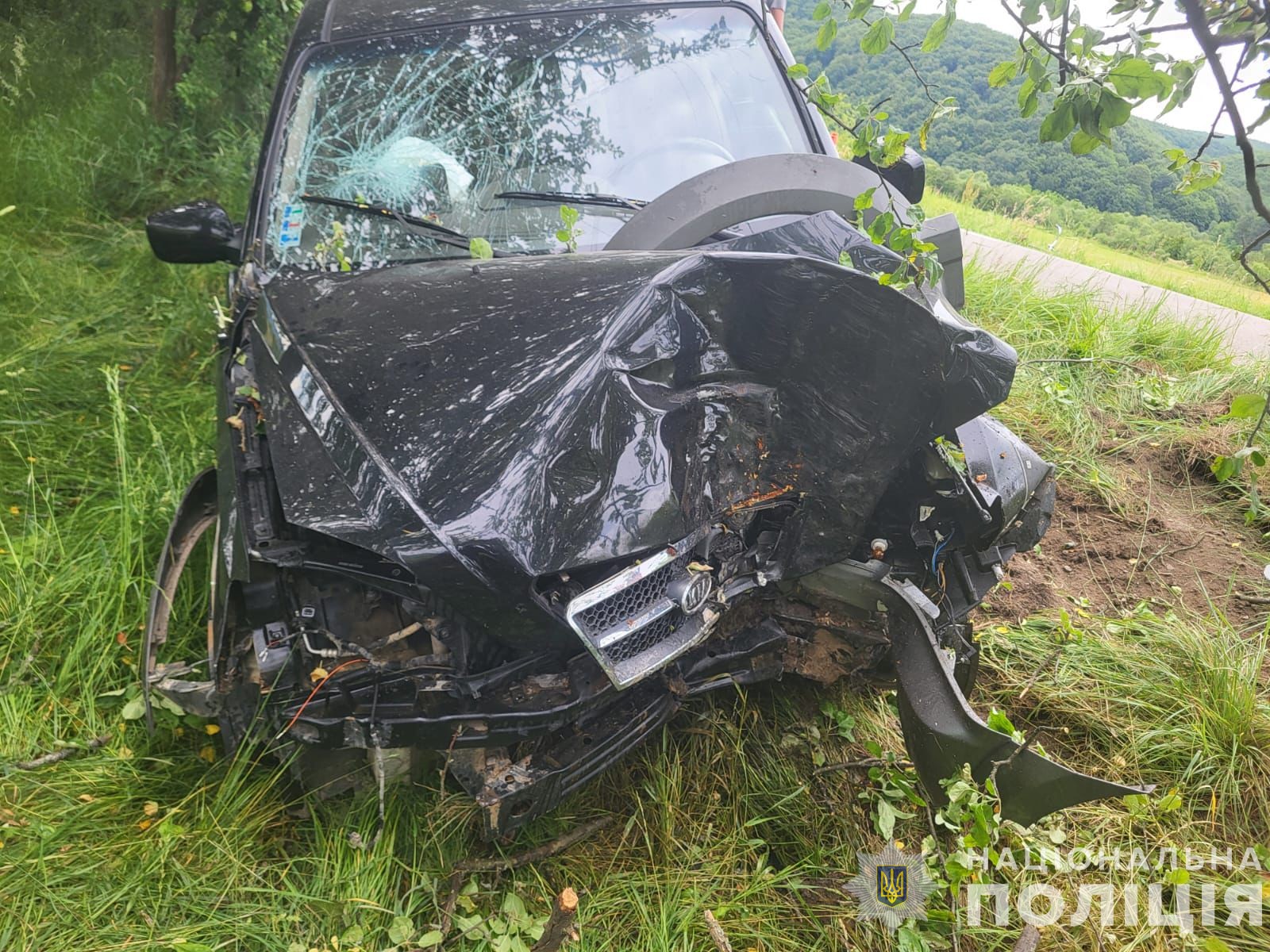 Їдучи з Тур'я Пасіки в Перечин, Kia врізалася в дерево на узбіччі – травмувалися вагітна водійка та її малолітня донька (ФОТО)