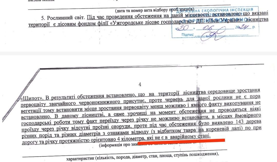 Ужгородські лісівники внесли у документи неправдиву інформацію, щоб вирубати дерева у заказнику під полониною Руною (ДОКУМЕНТИ)