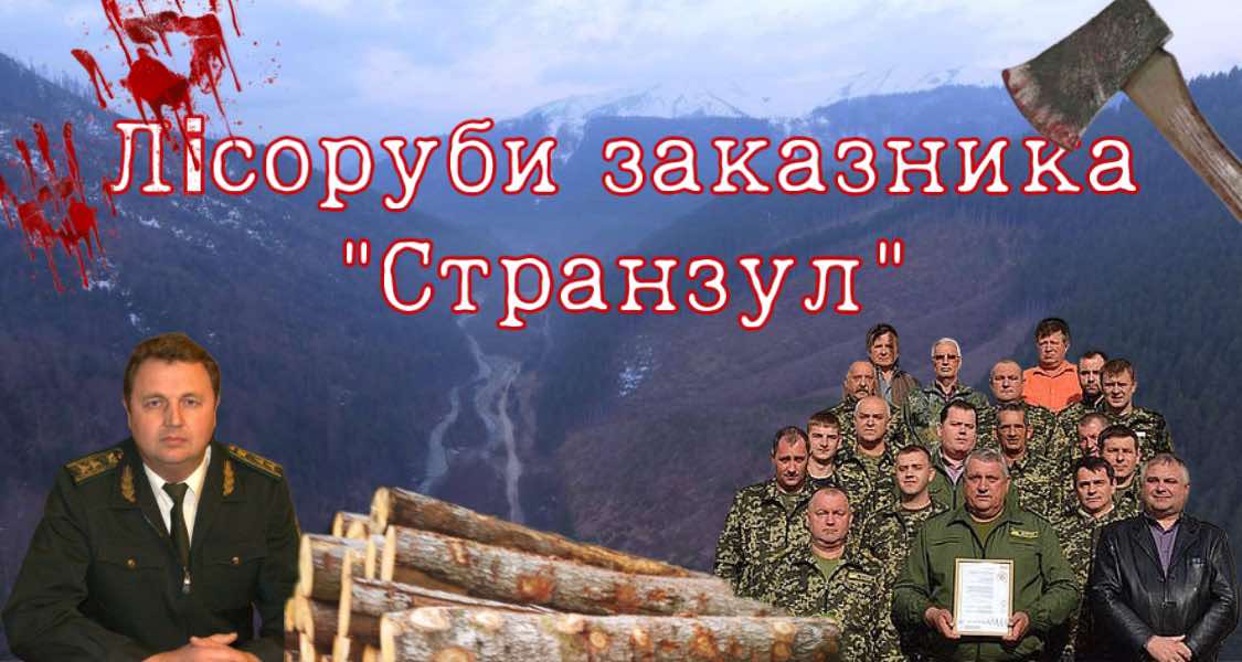 Лісівники продовжують приховувати підтверджені супутниковими знімками нелегальні рубки у заказнику "Странзул". Що з цим робити?