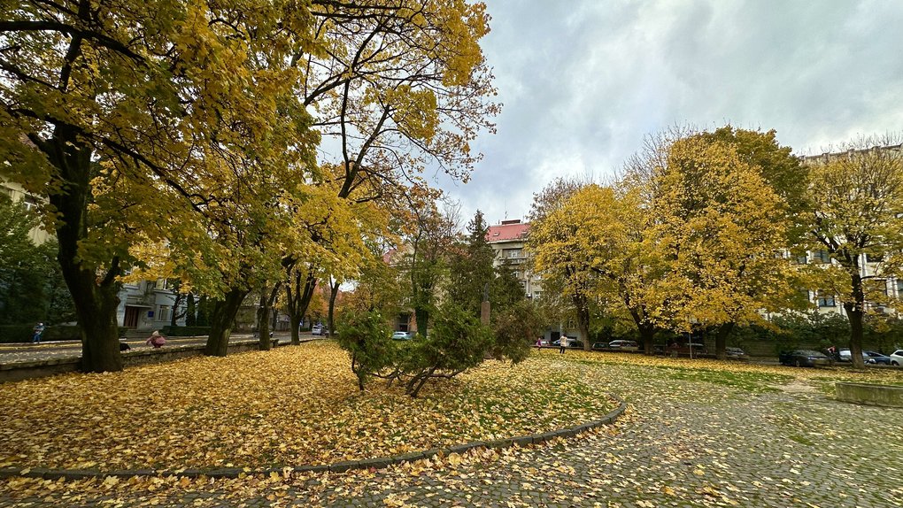 Фото ілюстративне, з мережі інтернет
