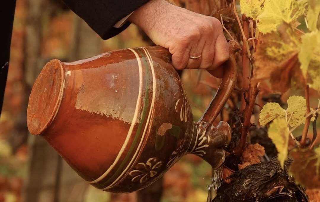 На Закарпатті відкрили першу бочку вина врожаю 2025 року (ФОТО)