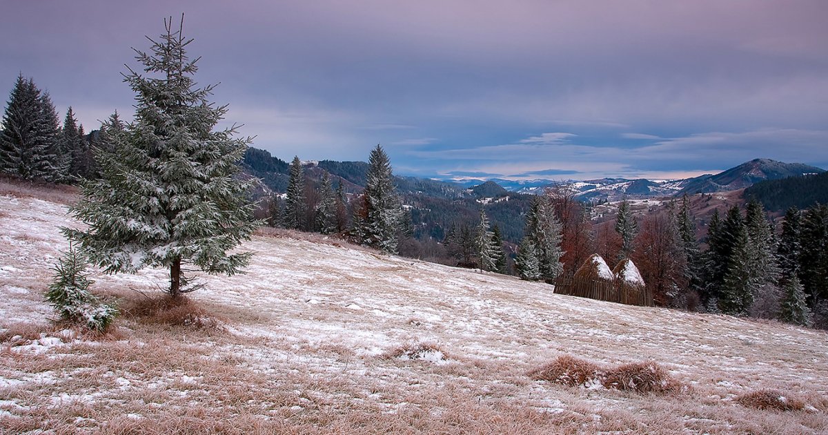 Фото ілюстративне, з мережі інтернет