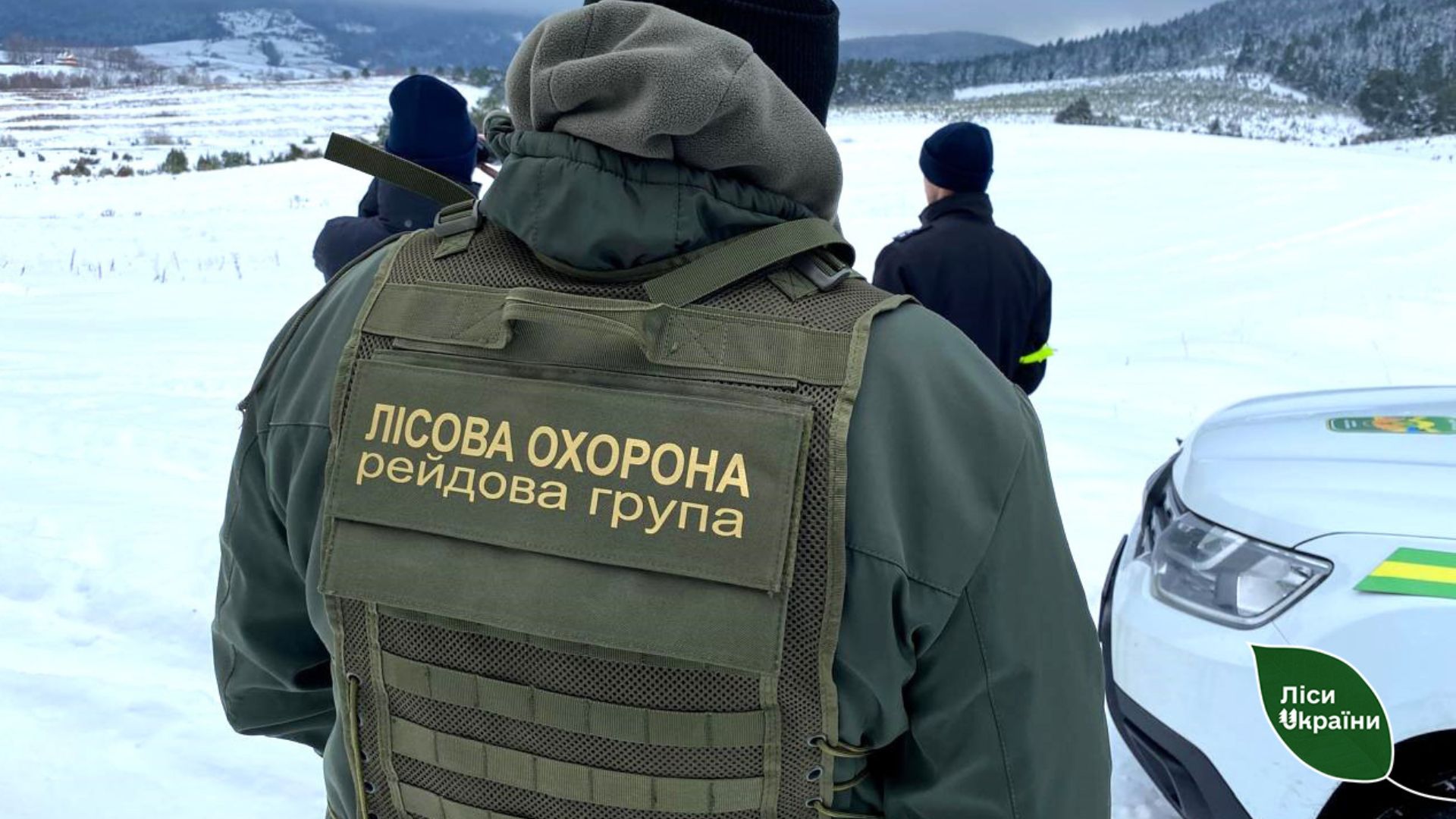 У Карпатах посилили охорону хвойних дерев перед новорічно-різдвяними святами (ФОТО)