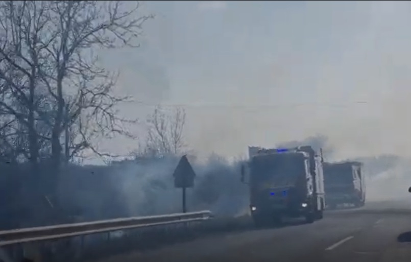 ВІДЕОФАКТ. В Ужгороді масштабне загоряння сухостою в районі об'їзної