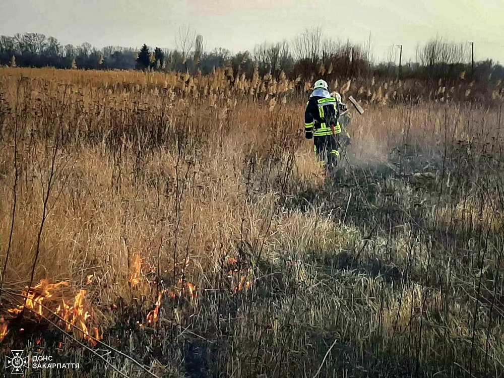 Почалося: Із 15 пожеж, що сталися за добу на Закарпатті, 9 – це підпали сухостою