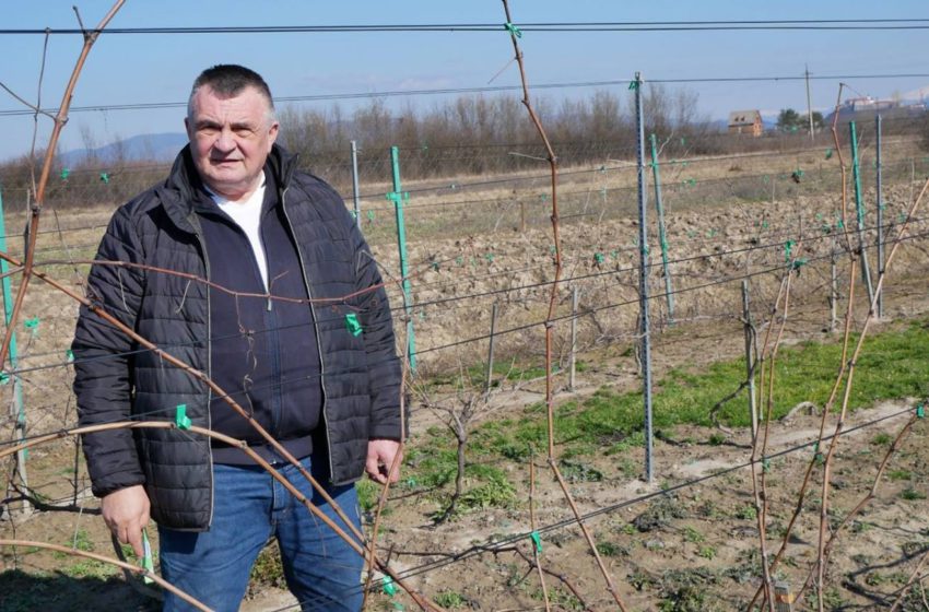 Познайомити світ із Винами Срібної Землі – головна мета ГО "Асоціації виноградарів, виноробів та дистиляторів Закарпаття", – Олександр Гарновдій