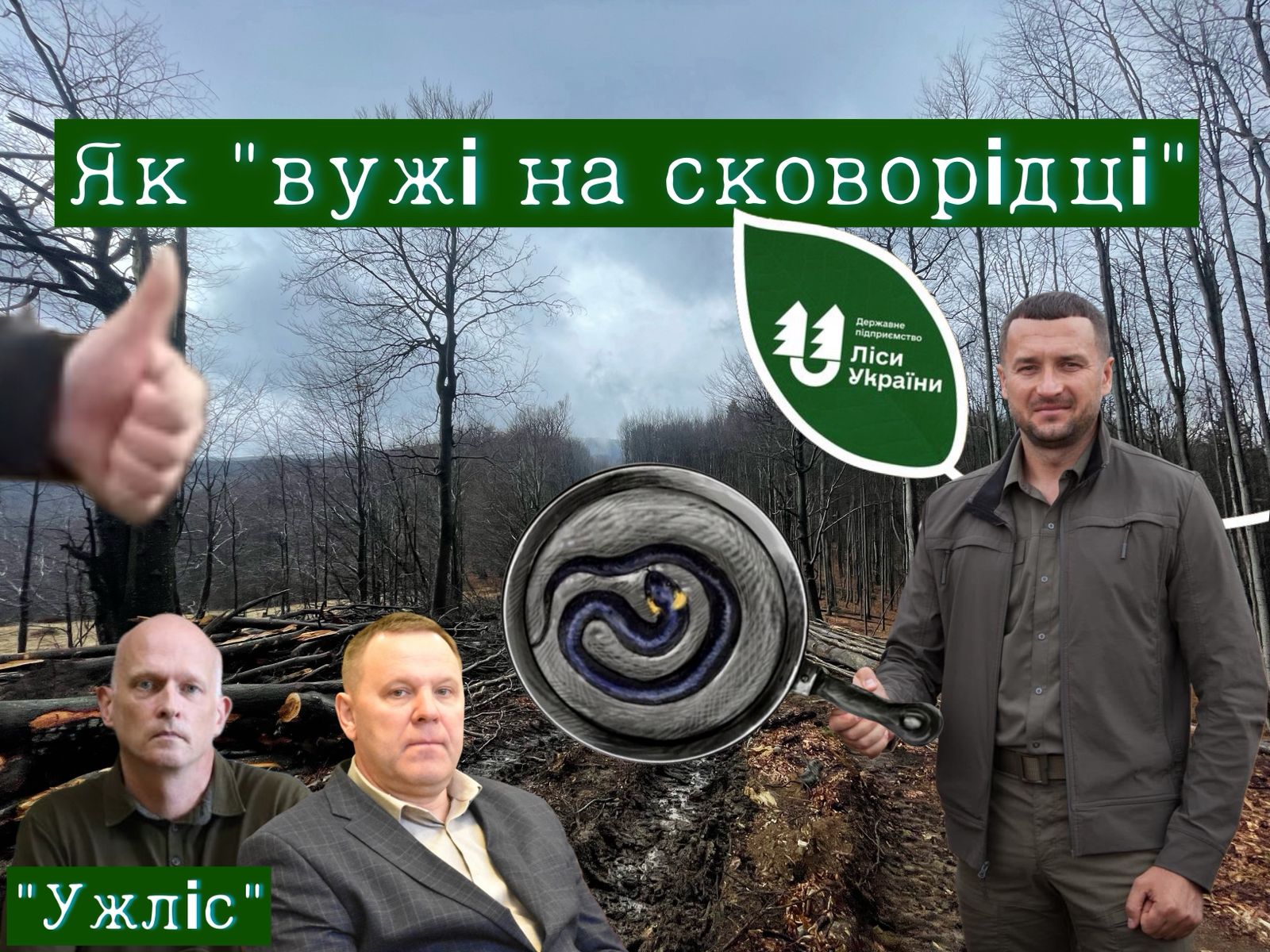 "Вужі на сковороді" пралісів "Шипота"