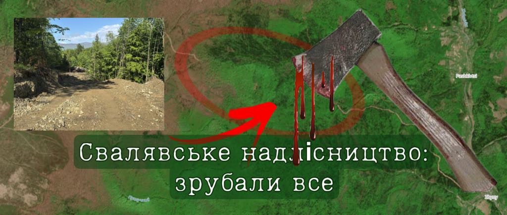 У Свалявському надлісництві продовжують рубку старовікового лісу під нову автодорогу від села Збини до гори Гостра і полонини Рівна