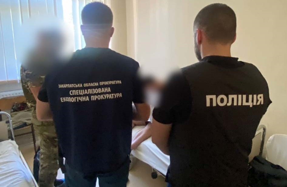 Керівнику Берегівського надлісництва повідомлено про підозру за незаконний продаж дуба як дров через підконтрольне підприємство (ФОТО)