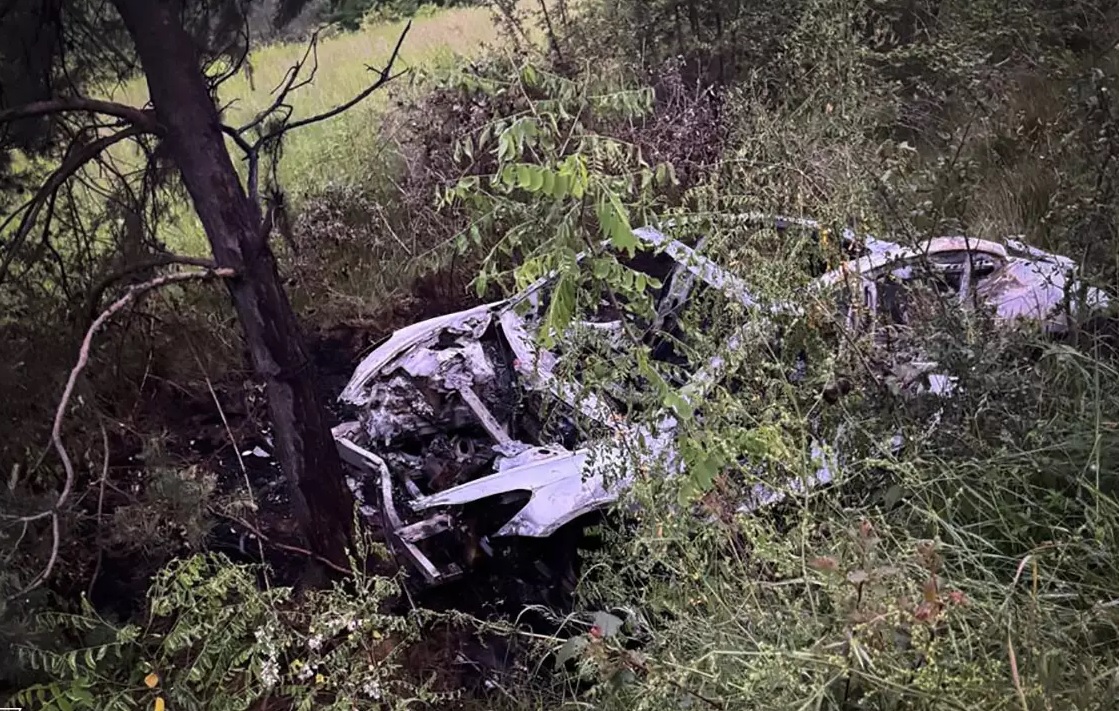 У Вільхівці на Хустщині вночі врізалася у дерево на узбіччі та згоріла Tesla (ФОТО)