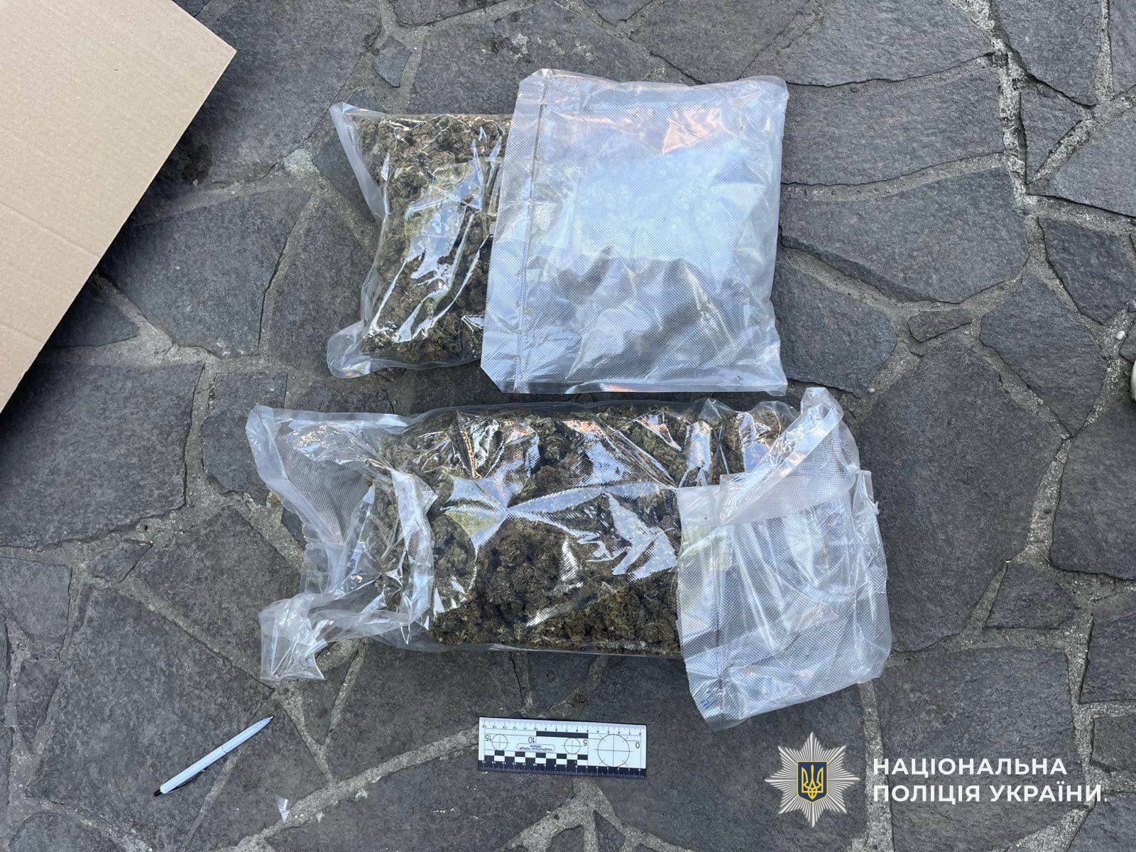 У Мукачеві затримали 21-річного торговця наркотиками, який постачав їх до різних регіонів України (ФОТО)