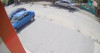 В Ужгороді собаки покусали 11-річну дівчинку (ФОТО)