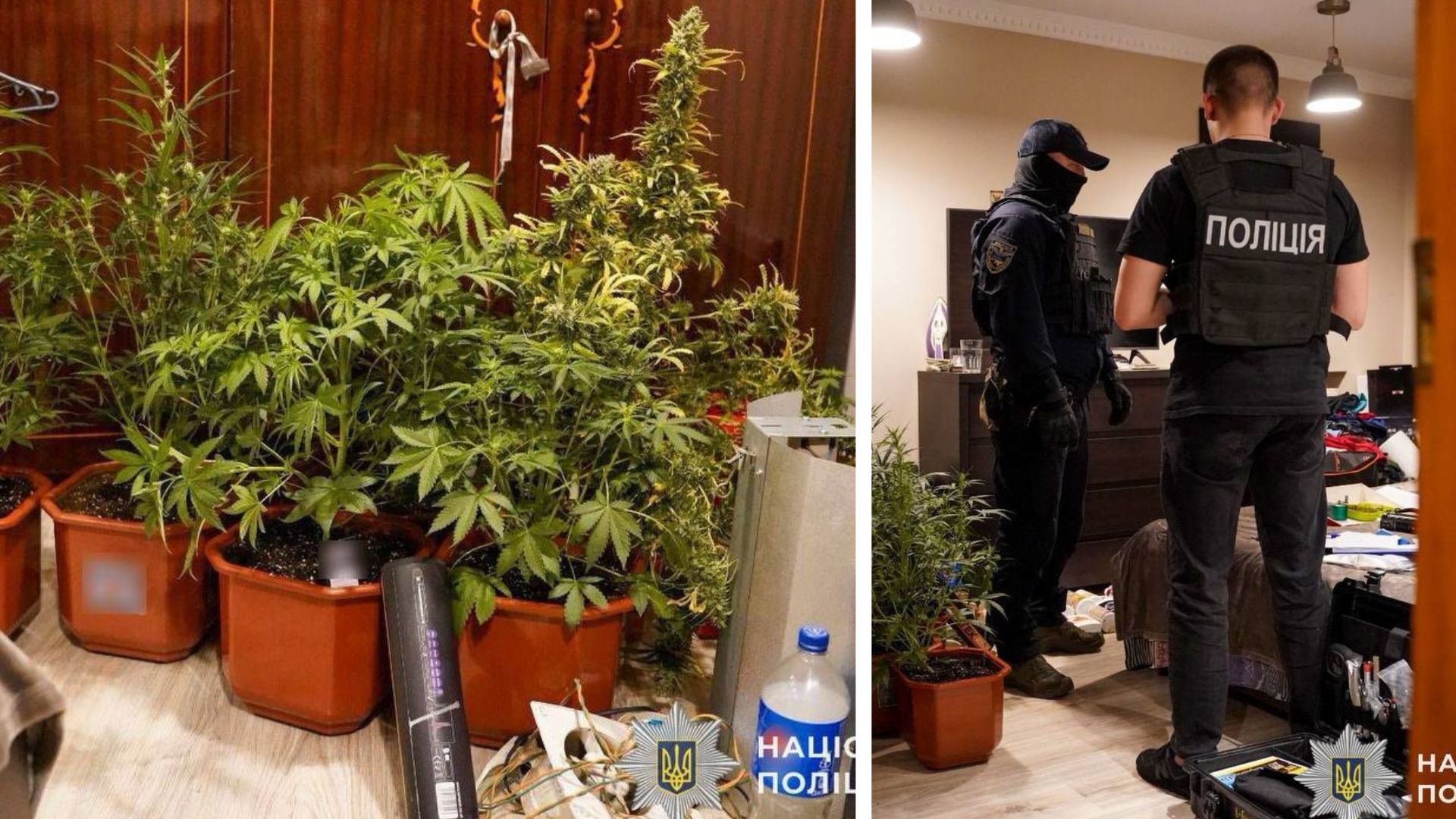 В Ужгороді поліція знешкодила угруповання наркоторговців (ФОТО)