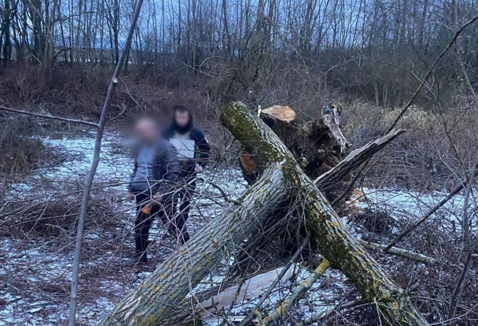 На Мукачівщині поліція розслідує загибель 8-річної дівчинки, на яку впало дерево (ФОТО)
