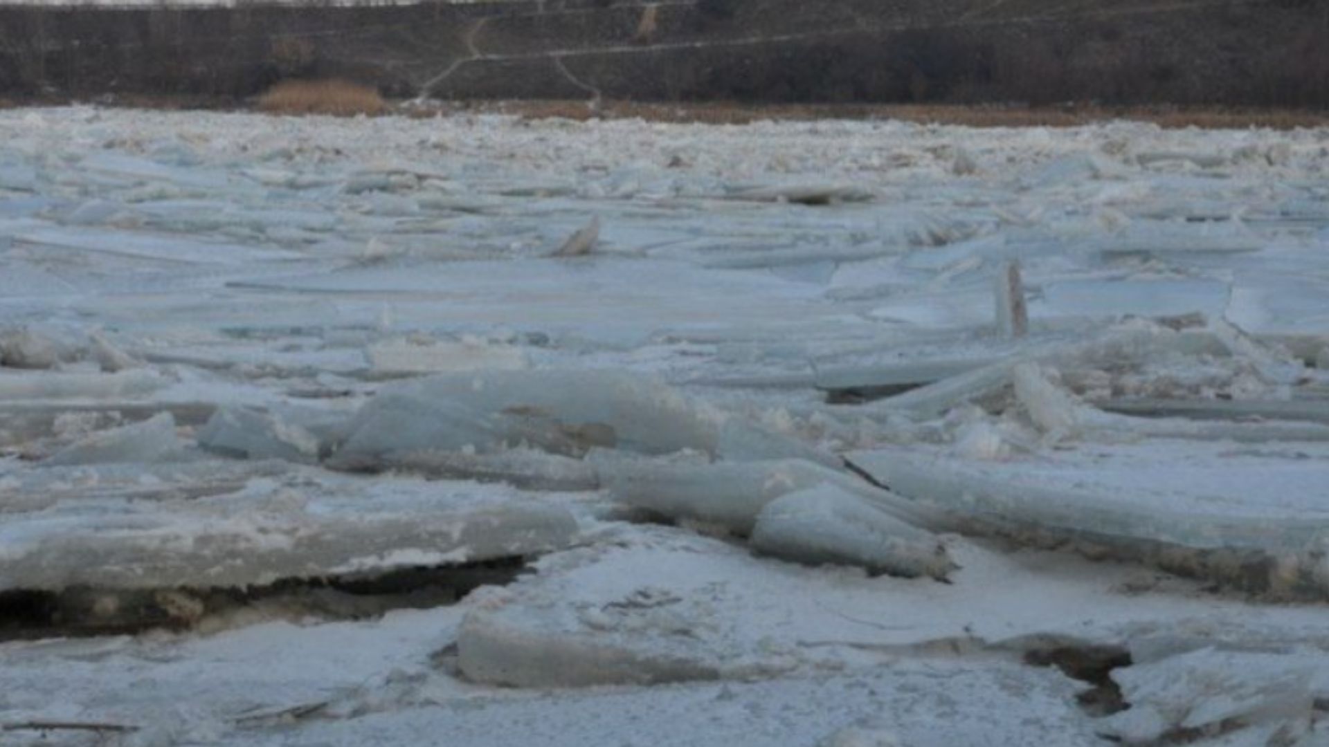Фото ілюстративне, з мережі інтернет