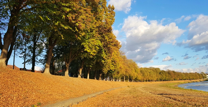 Фото ілюстративне, з мережі інтернет