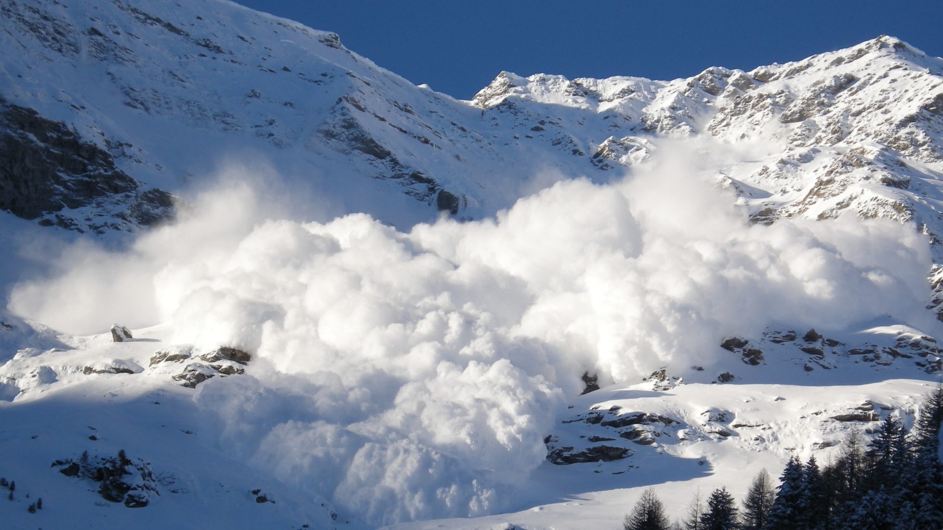 Фото ілюстративне, з мережі інтернет