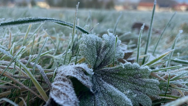Фото ілюстративне, з мережі інтернет