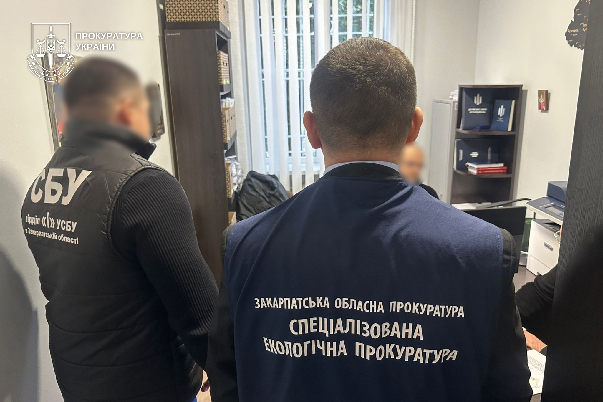 На Закарпатті судитимуть екскерівника надлісництва за масштабну незаконну вирубку дубів (ФОТО)