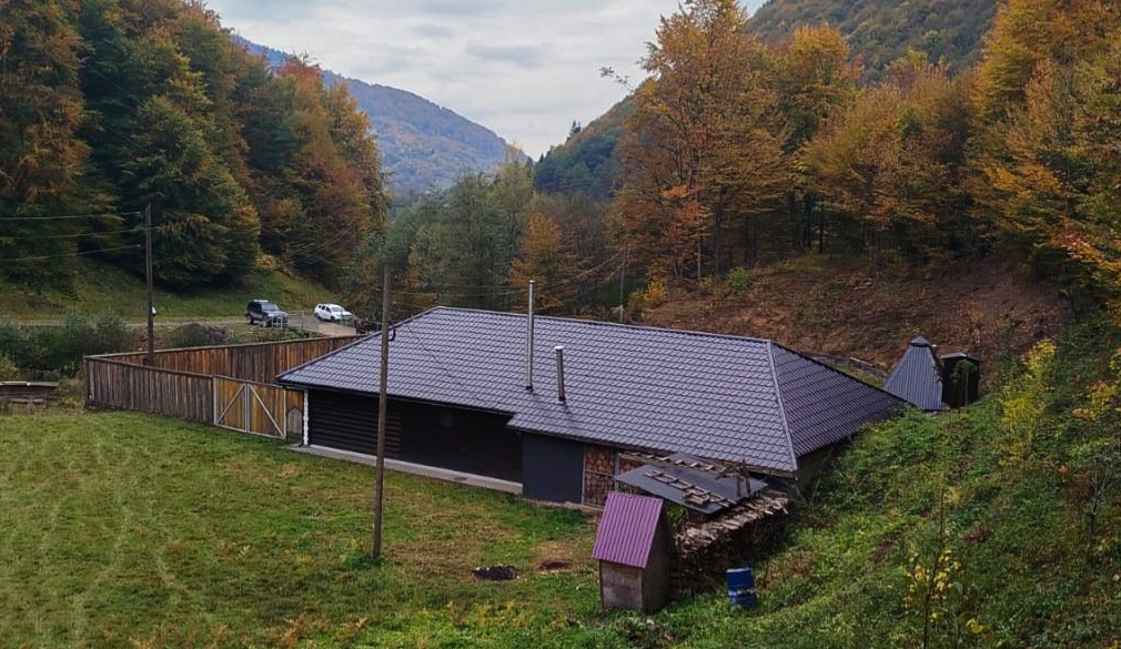 На Тячівщині лісничий самовільно збудував садовий будинок для родини на землях лісфонду (ФОТО, ВІДЕО)