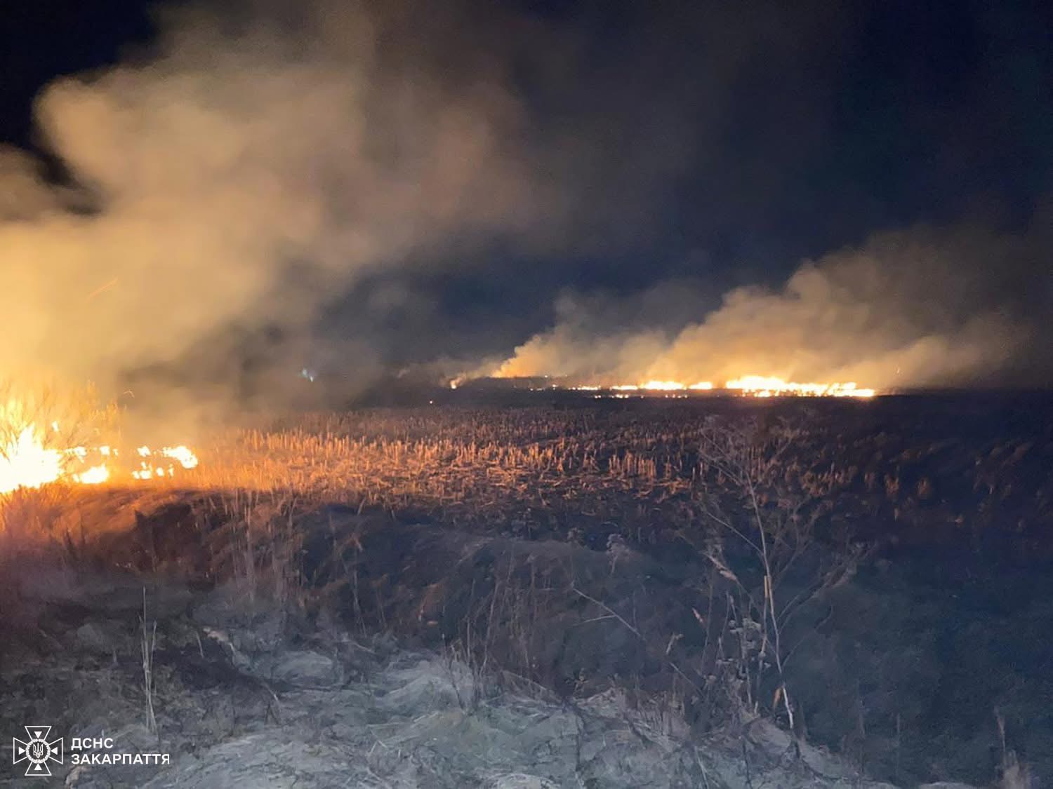 На Закарпатті за добу сталося 42 пожежі в екосистемах (ФОТО)