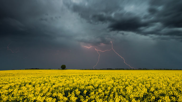 Фото ілюстративне, з мережі інтернет