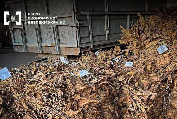 На Закарпатті судитимуть групу, яка налагодила повний цикл незаконного виробництва тютюну (ФОТО)