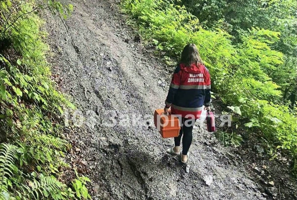 На Тячівщині під час збору ягід у горах помер 53-річний чоловік (ФОТО)