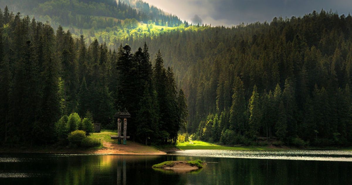 Фото ілюстративне, з мережі інтернет