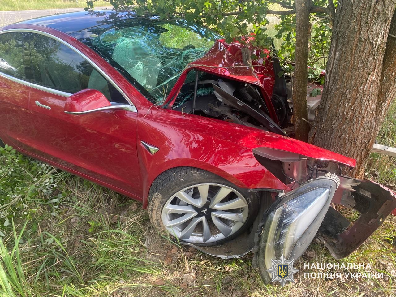 Tesla злетіла з дороги та врізалася в дерево на Мукачівщині (ФОТО)
